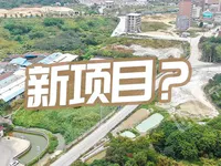 網(wǎng)友爆料！東部新城又一項(xiàng)目或?qū)?dòng)？道路已修建完成！
