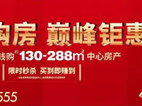 盛迪嘉新春巔峰鉅惠，半價購房，即買即賺！