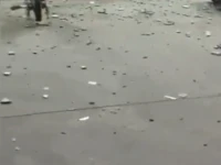 省臺曝光！普寧一小區(qū)頻降“瓷磚雨”，街坊出行心驚驚