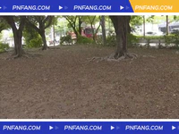 留住城市“煙火氣”！潮汕學(xué)院門口綠地將設(shè)流動(dòng)攤販統(tǒng)一管理經(jīng)營(yíng)點(diǎn)